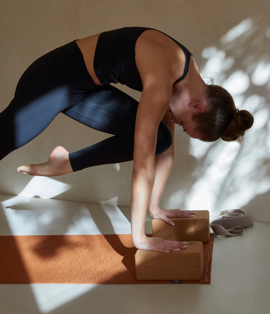 Men's Manduka CORK YOGA Blocks Brown | 3544020